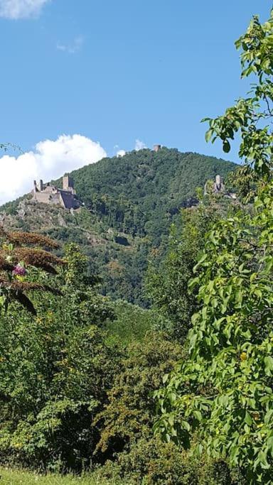 Appartamento **** L'atelier Du Tonnelier Ribeauvillé